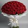 Букет 101 Красная роза Блэк Мэджик в Краснощёково
