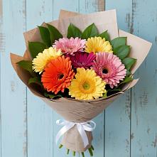 Букет цветов из:  Герберы #REPLACE_PRED# Краснощёково