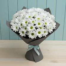 Букет цветов из:  Хризантемы в Краснощёково