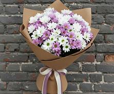 Букет цветов из:  Хризантемы #REPLACE_PRED# Краснощёково