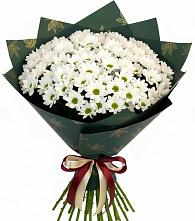 Букет цветов из:  Хризантемы в Краснощёково