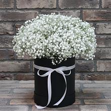 Цветочная композиция из Гипсофила в шляпной коробке #REPLACE_PRED# Краснощёково