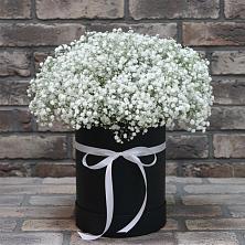 Цветочная композиция из Гипсофила в шляпной коробке в Краснощёково