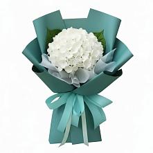 Букет цветов из:  Гортензия в Краснощёково